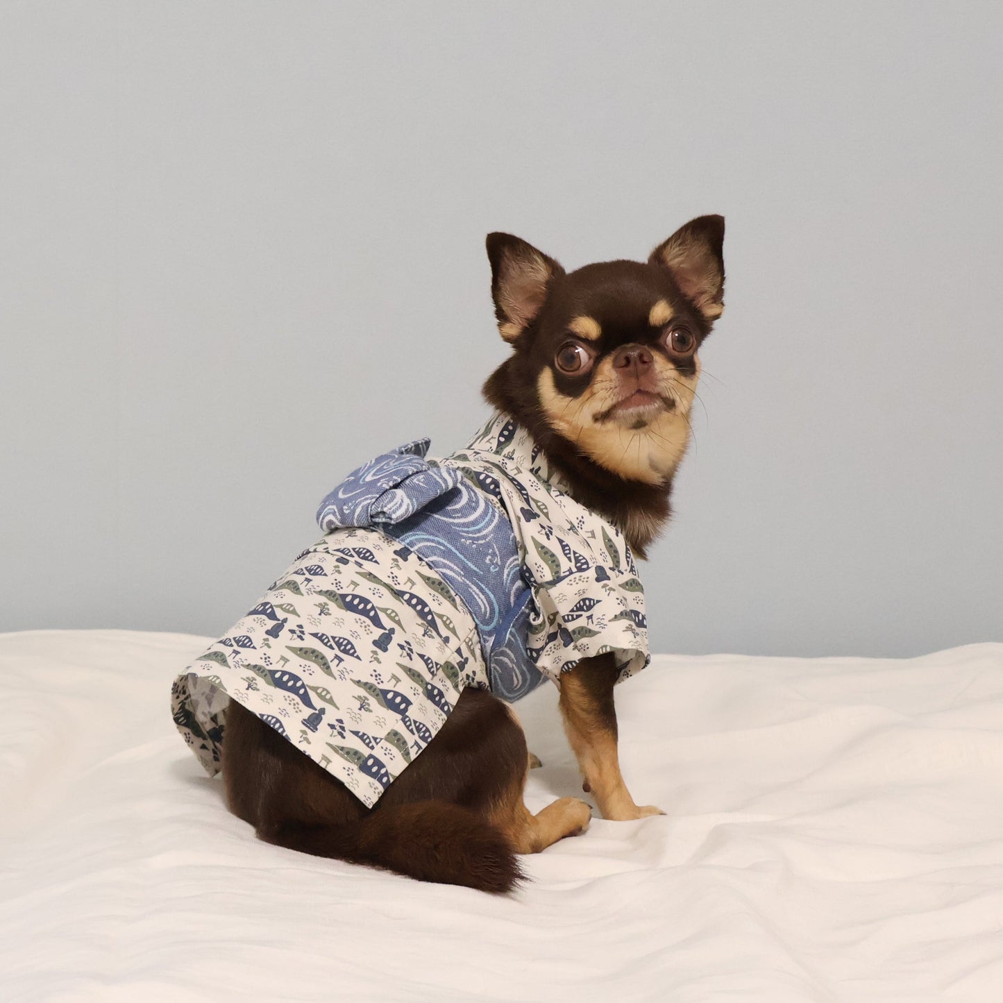 YUKATA（大仏（カッテージ x デニム））
